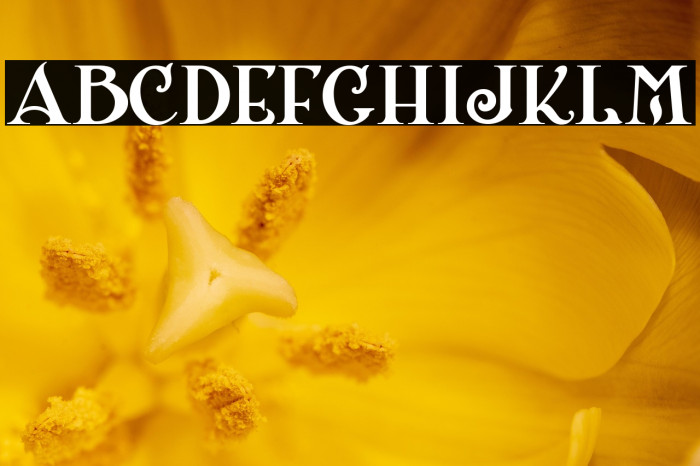 ShangriLaNFSmallCaps Example 2