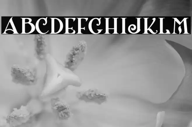 ShangriLaNFSmallCaps Font examples