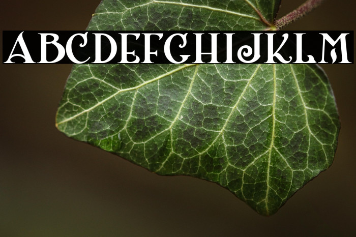 ShangriLaNFSmallCaps Example 3