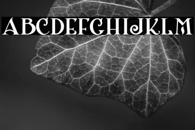 ShangriLaNFSmallCaps Font examples