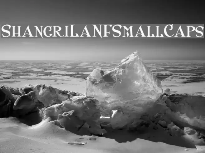 ShangriLaNFSmallCaps Font examples
