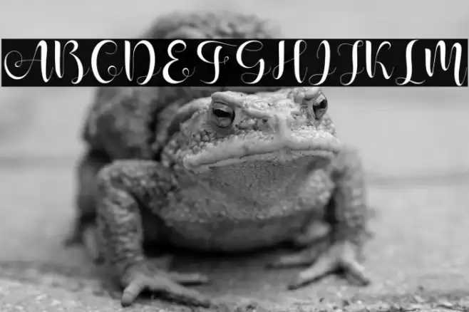 ShanhieFree Font examples