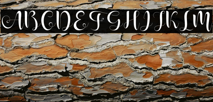 ShanhieFree Example 1