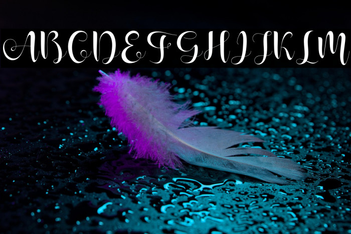 ShanhieFree Example 2