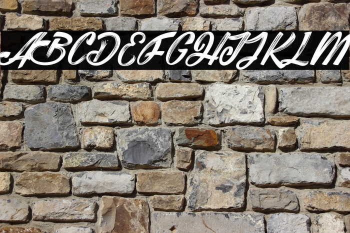 Shania & HeinzPersonalUseOnly Example 1