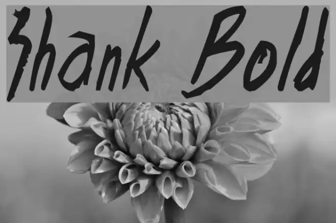 Shank Bold Font examples