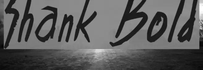Shank Bold Font examples