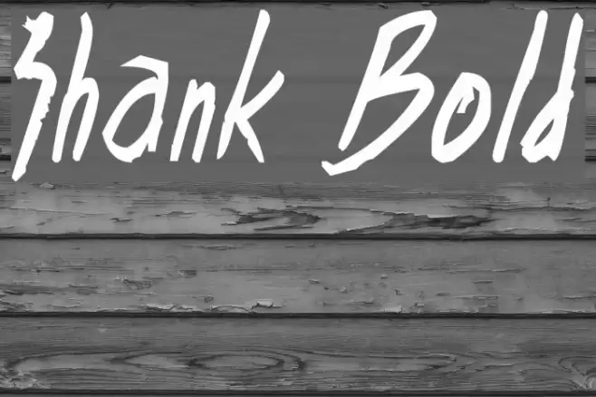 Shank Bold Font examples