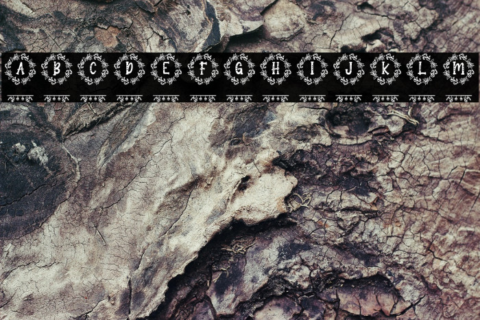 Shantana Christmas Monogram Reg Example 1