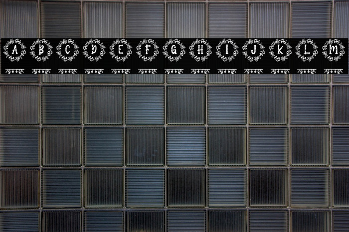 Shantana Christmas Monogram Reg Example 3