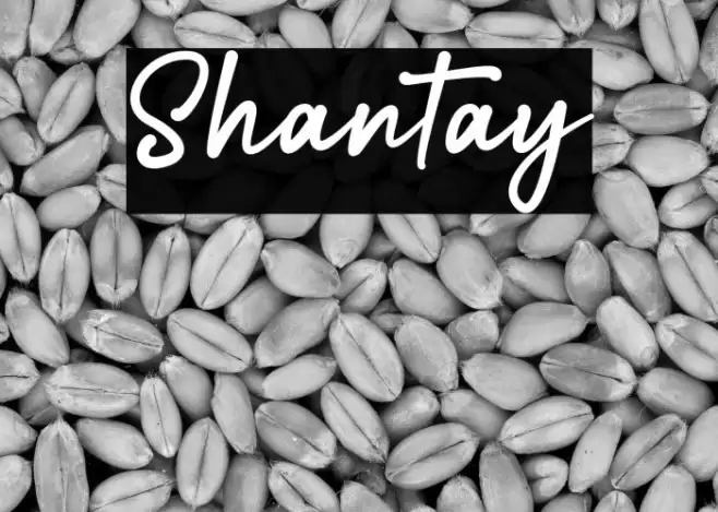 Shantay Schriftart examples