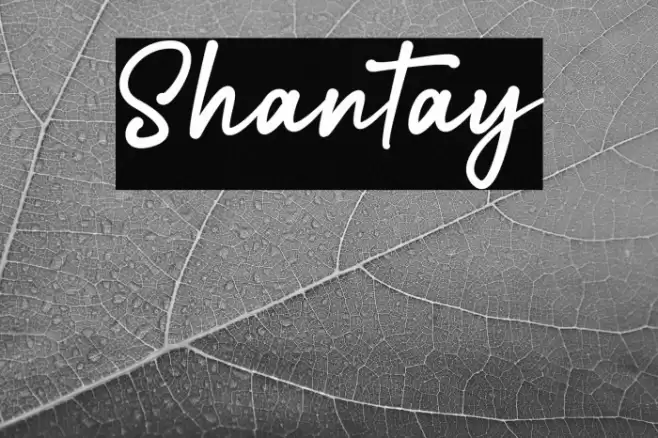 Shantay Schriftart examples