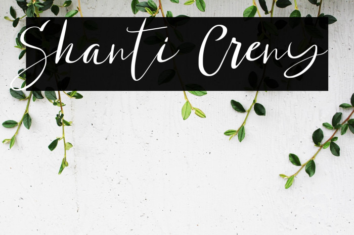 Shanti Creny Example 1