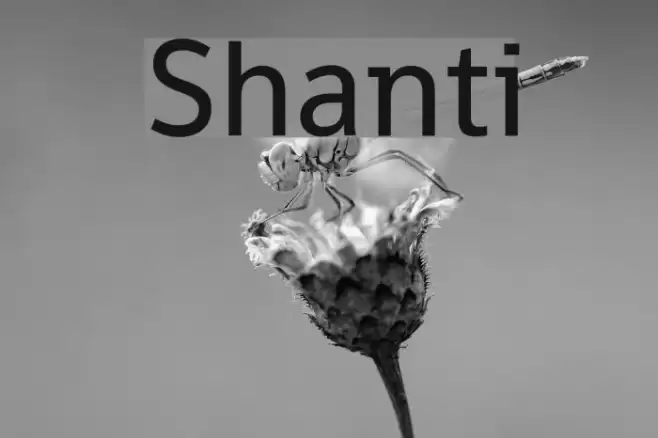 Shanti Font examples