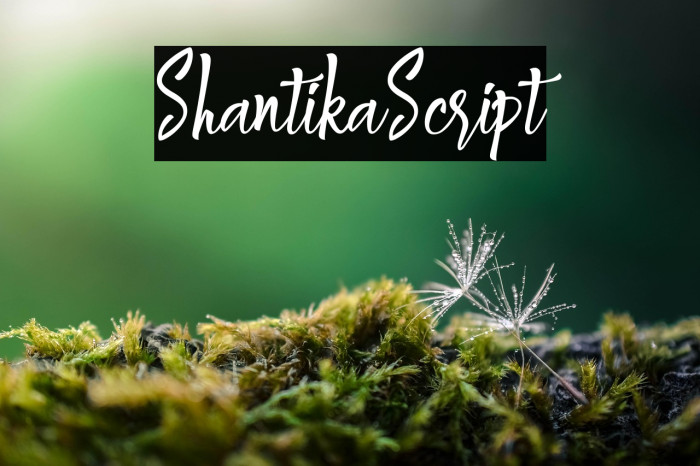 ShantikaScript Example 2