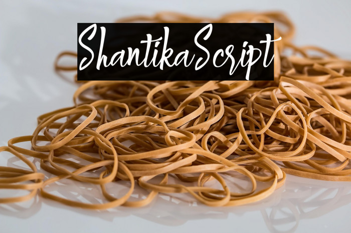 ShantikaScript Example 3