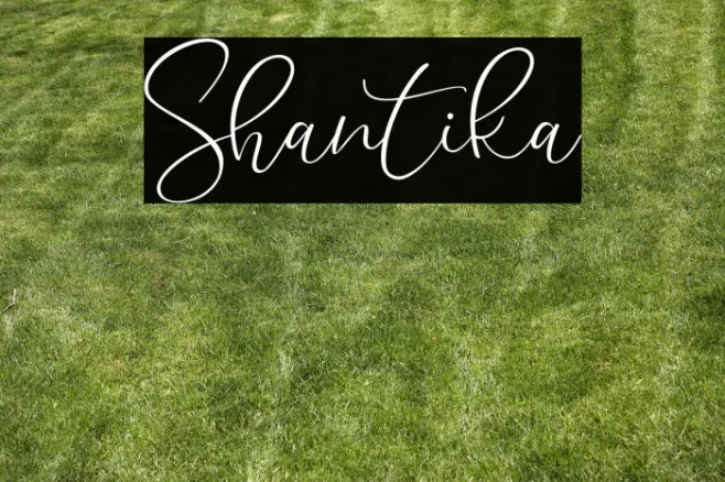 Shantika Example 2