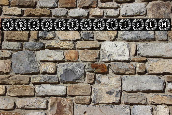 Shanty Christmas Monogram Reg Example 1