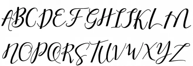 Shany Regular Font OTHER CHARS