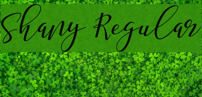 Shany Regular Font examples