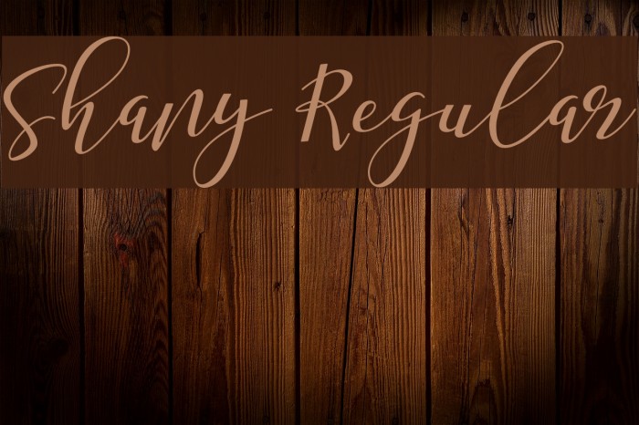 Shany Regular Font examples