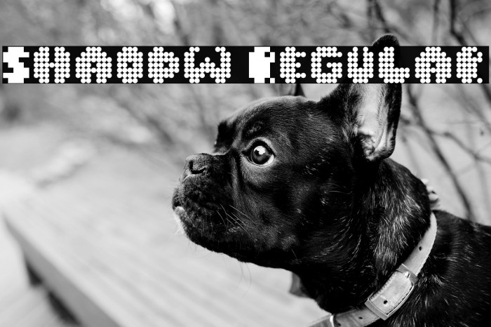 Shaodw Regular Example 1