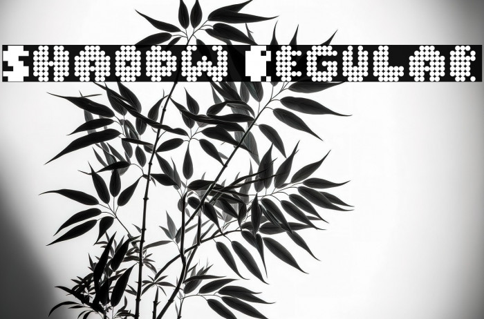 Shaodw Regular Example 3