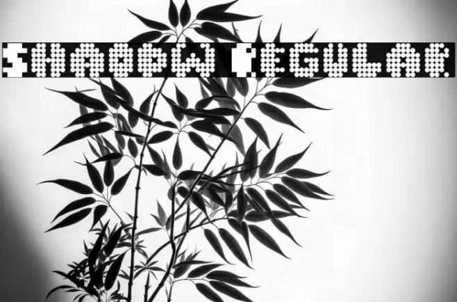 Shaodw Regular Font examples