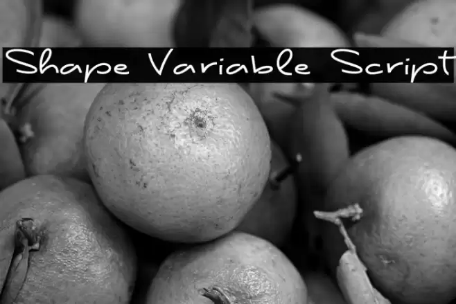 Shape Variable Script Font examples