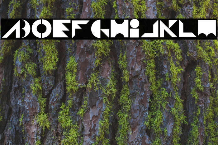 Shapeshifter Regular Font examples