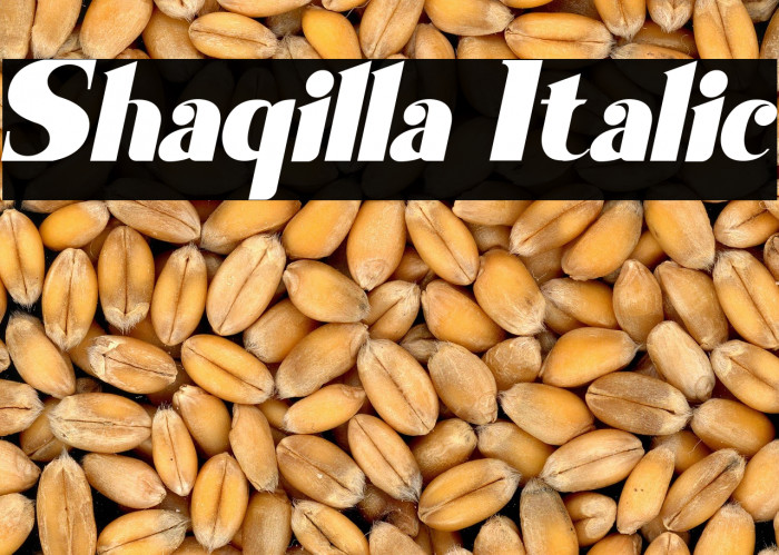 Shaqilla Italic Example 2