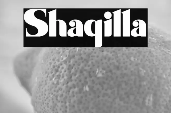 Shaqilla Font examples