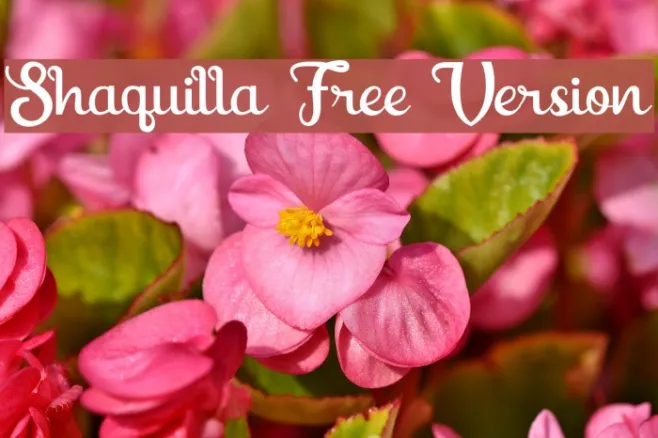 Shaquilla Free Version Example 1