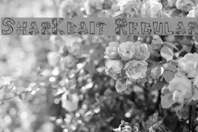 SharKbait Regular Font examples