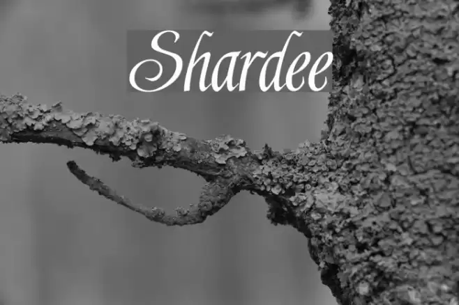 Shardee Font examples