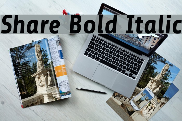 Share Bold Italic Font examples