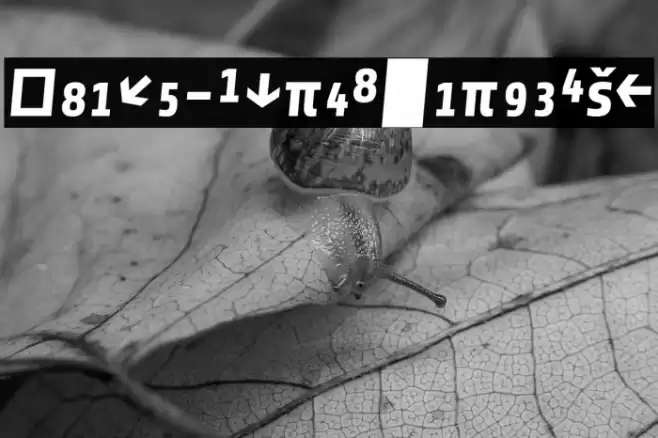 Share-BoldItalicExp Font examples