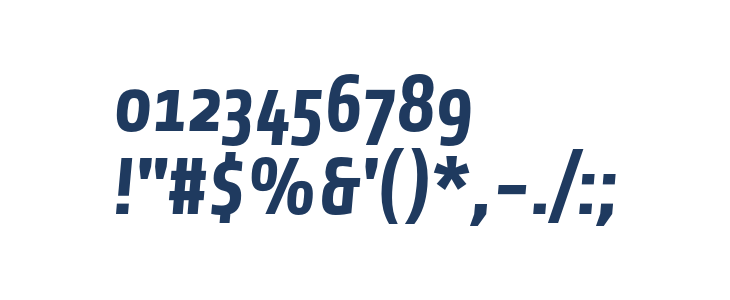 Share-BoldItalicOSF Other Characters