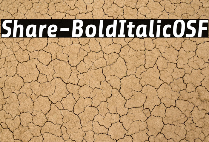Share-BoldItalicOSF Example 1