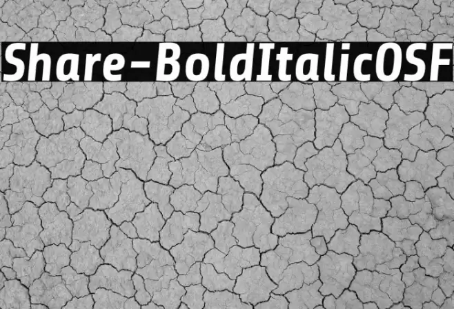 Share-BoldItalicOSF Font examples