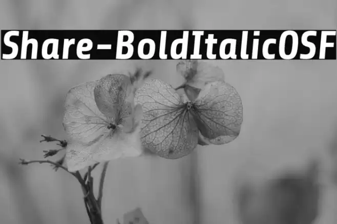 Share-BoldItalicOSF Font examples