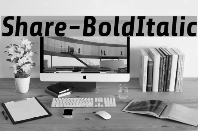 Share-BoldItalic Font examples