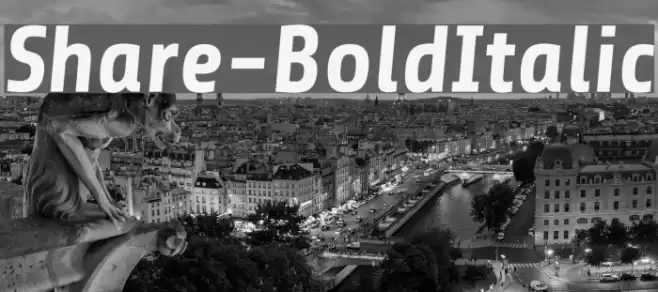 Share-BoldItalic Font examples
