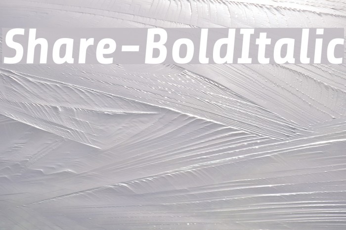 Share-BoldItalic Font examples