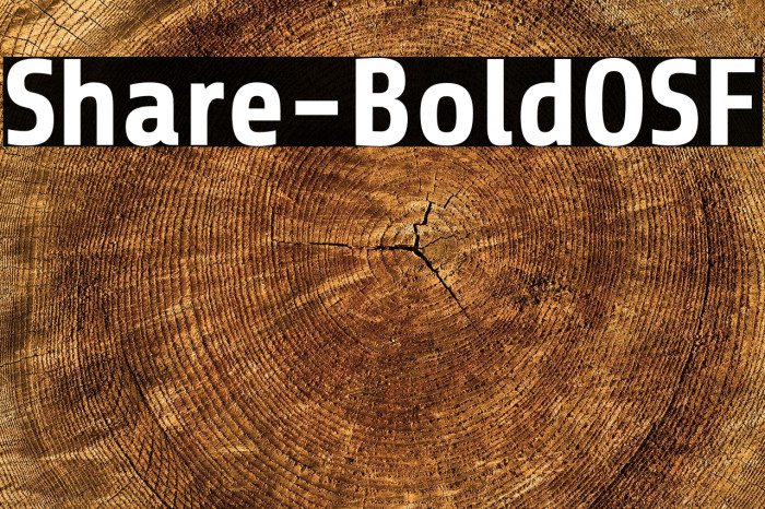 Share-BoldOSF Example 3