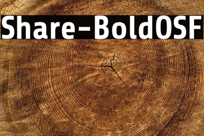 Share-BoldOSF Example 3