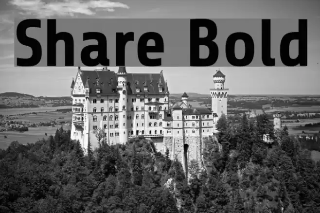 Share Bold Font examples