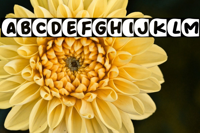 Share Dong Example 1