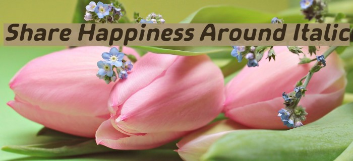 Share Happiness Around Italic Font examples