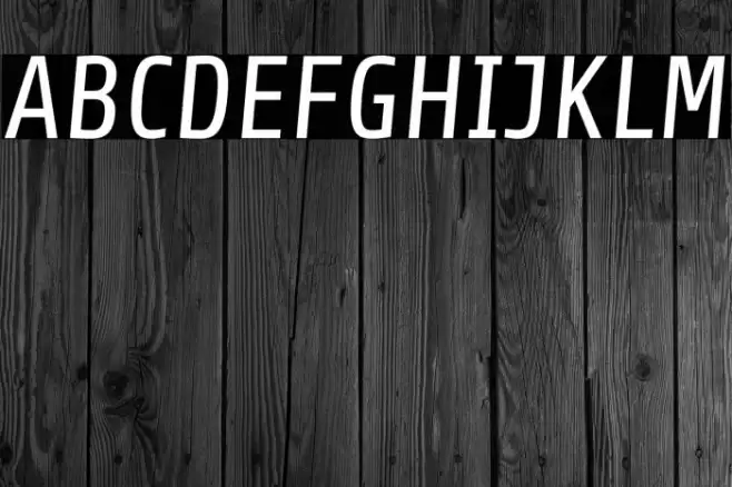 Share Italic Font examples